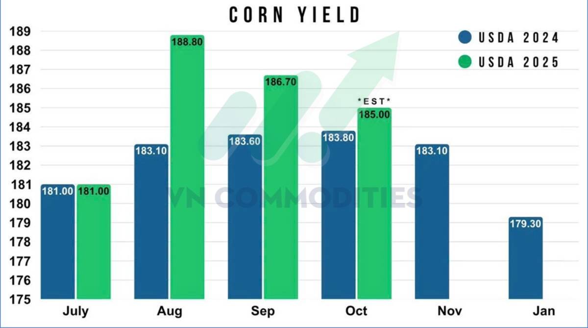Ngô Mỹ tiến sát kỷ lục mới – Ca cao và cà phê bước vào vùng cân bằng vàng