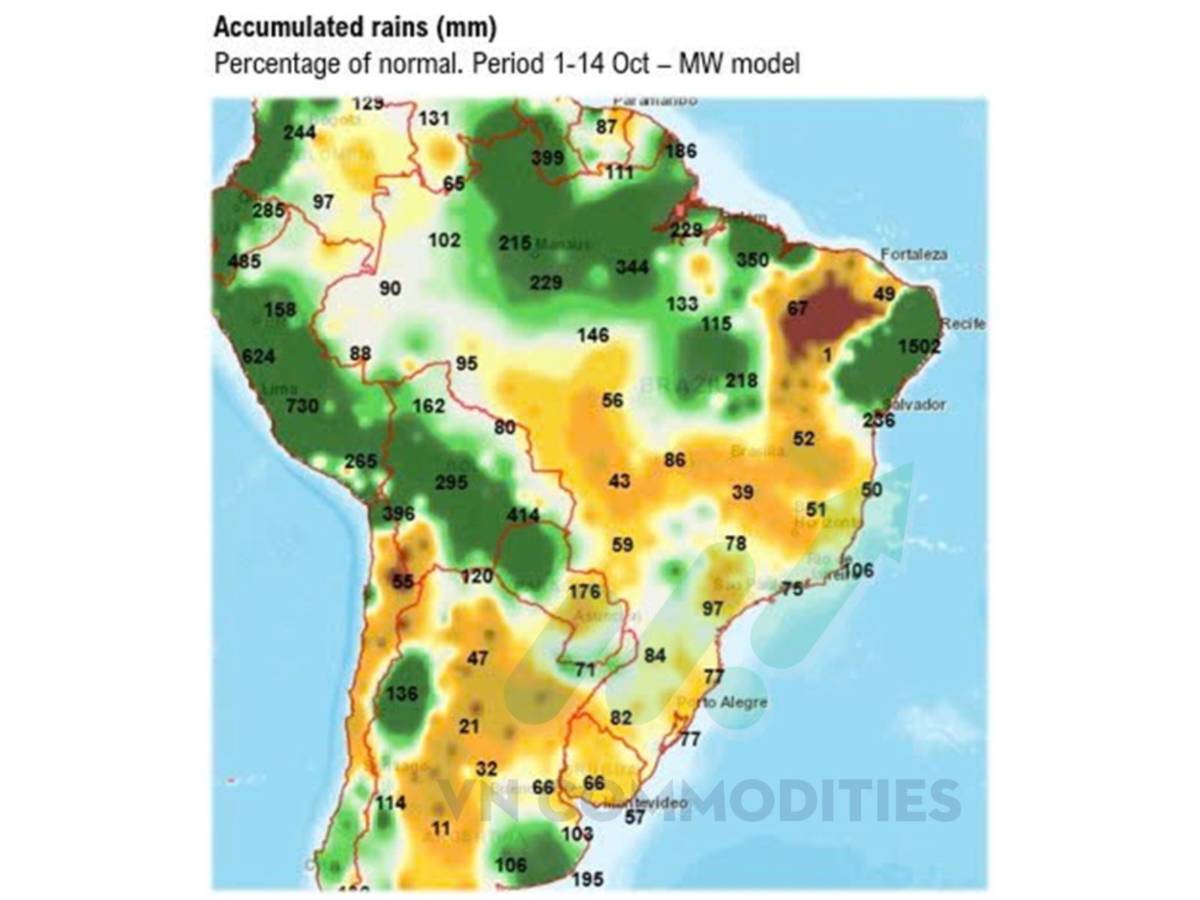 Ngô Mỹ tiến sát kỷ lục mới – Ca cao và cà phê bước vào vùng cân bằng vàng