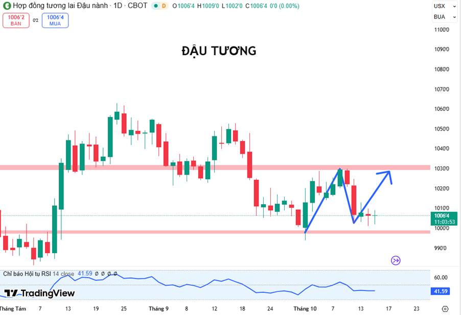 Đậu Tương: Tín Hiệu Hồi Phục Gần Vùng Hỗ Trợ Quan Trọng