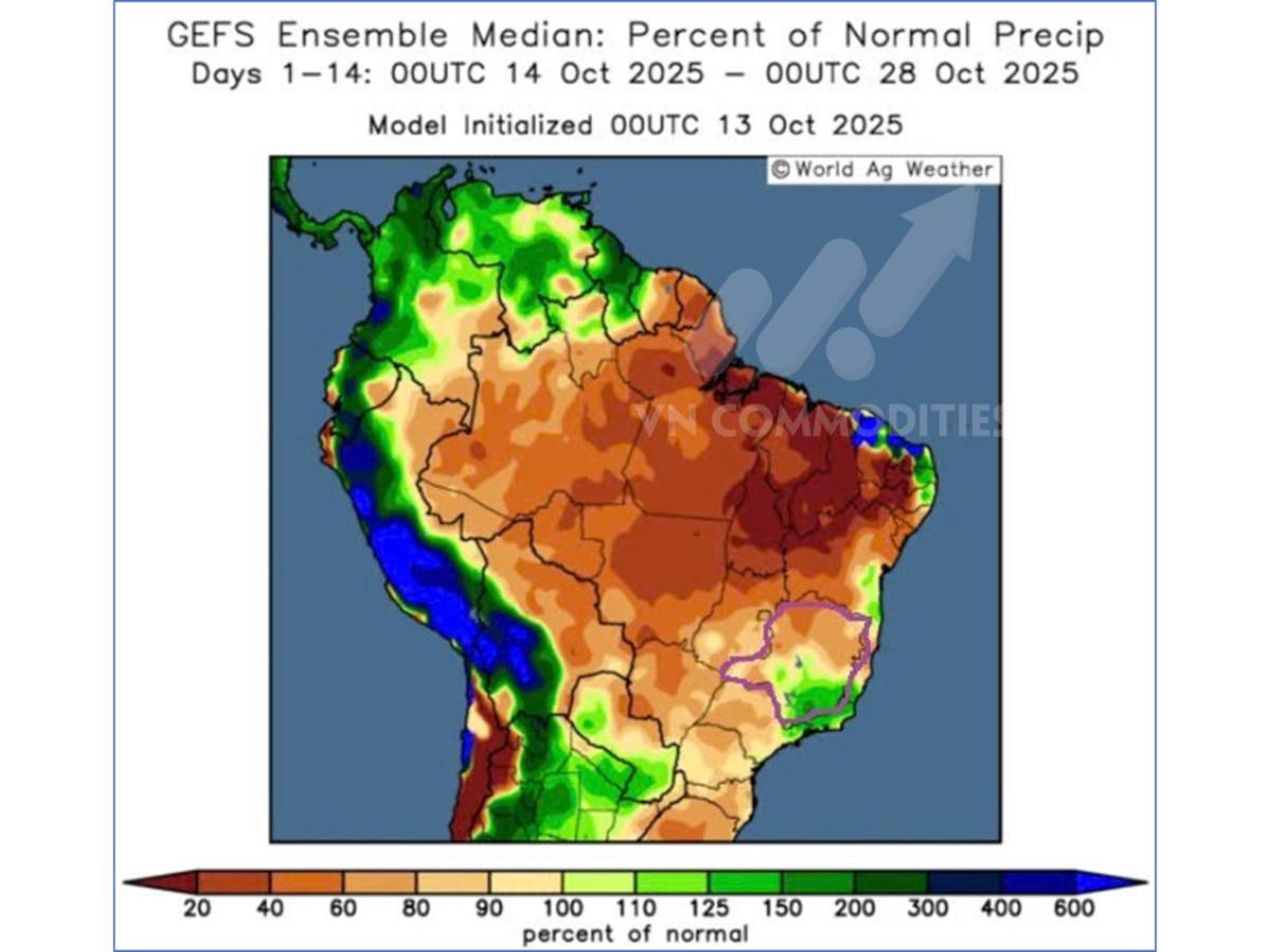 Ngô Mỹ tiến sát kỷ lục mới – Ca cao và cà phê bước vào vùng cân bằng vàng