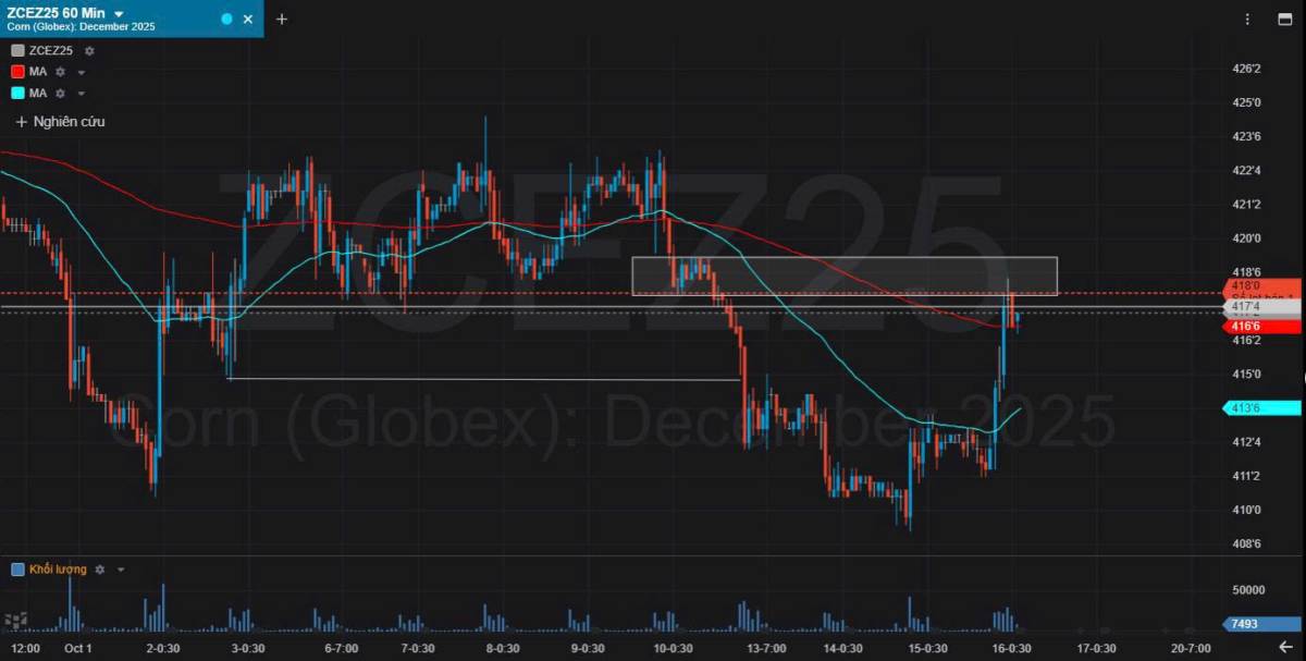 Bản tin nhóm nông sản ngày 16/10/2025
