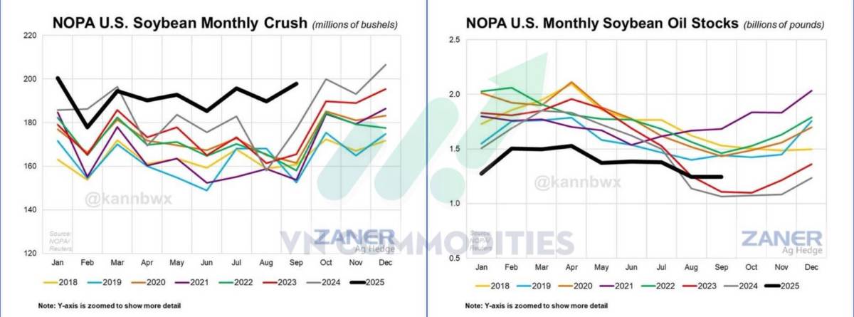 Lúa mì dẫn sóng nhờ dòng tiền đầu cơ, cà phê xác nhận bứt phá kỹ thuật – Đậu tương và ca cao tiếp tục chịu sức ép cung cầu