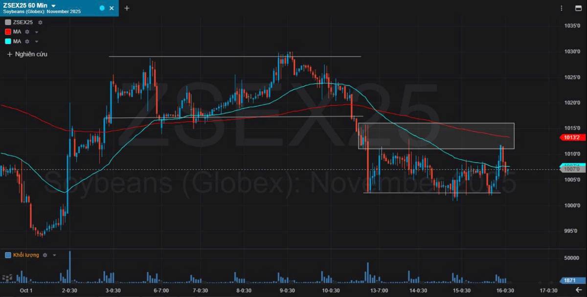 Bản tin nhóm nông sản ngày 16/10/2025