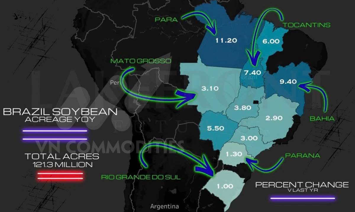 Lúa mì dẫn sóng nhờ dòng tiền đầu cơ, cà phê xác nhận bứt phá kỹ thuật – Đậu tương và ca cao tiếp tục chịu sức ép cung cầu