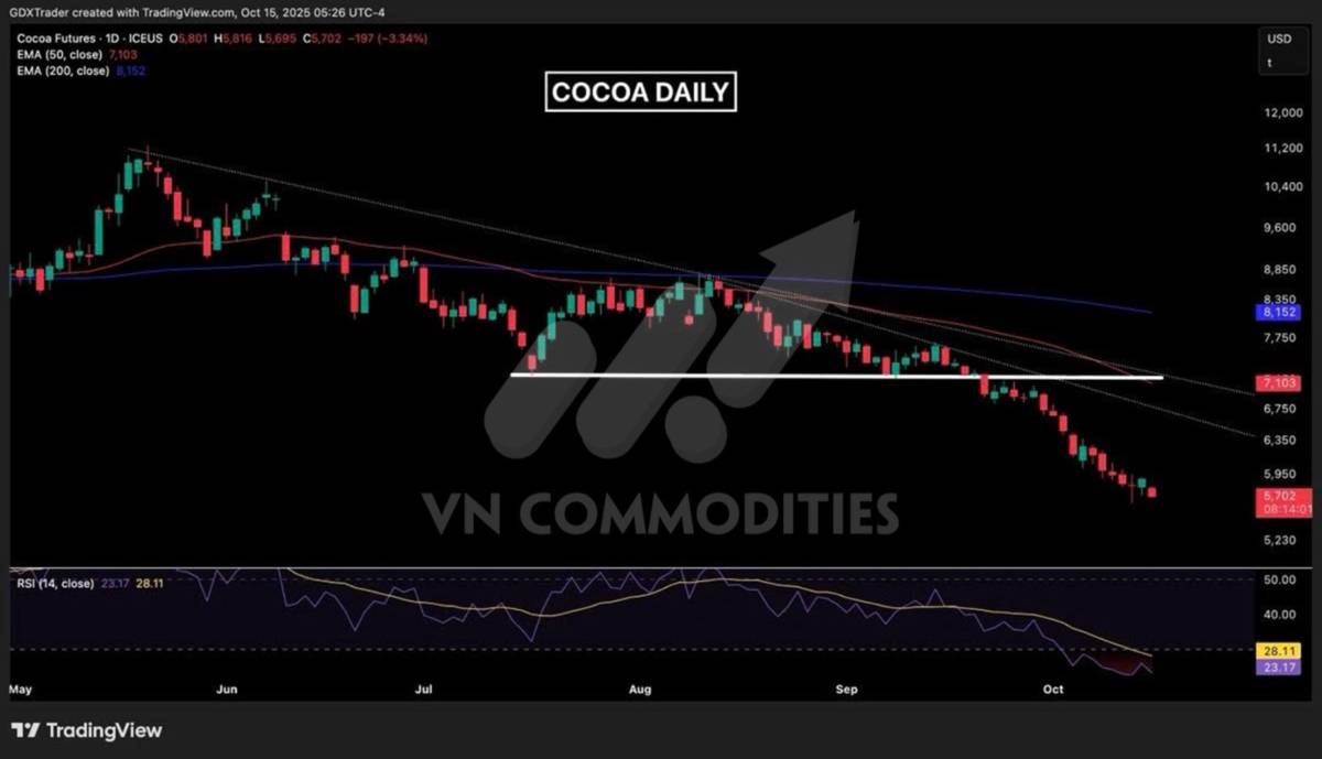 Lúa mì dẫn sóng nhờ dòng tiền đầu cơ, cà phê xác nhận bứt phá kỹ thuật – Đậu tương và ca cao tiếp tục chịu sức ép cung cầu
