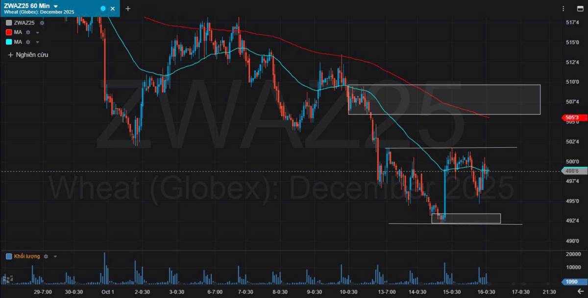 Bản tin nhóm nông sản ngày 16/10/2025