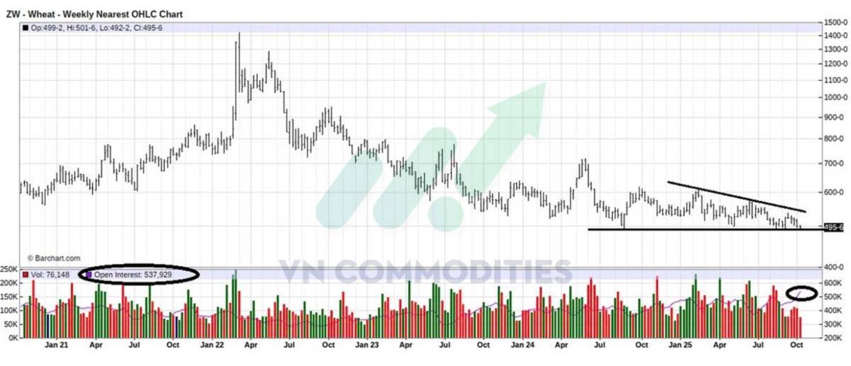 Lúa mì dẫn sóng nhờ dòng tiền đầu cơ, cà phê xác nhận bứt phá kỹ thuật – Đậu tương và ca cao tiếp tục chịu sức ép cung cầu