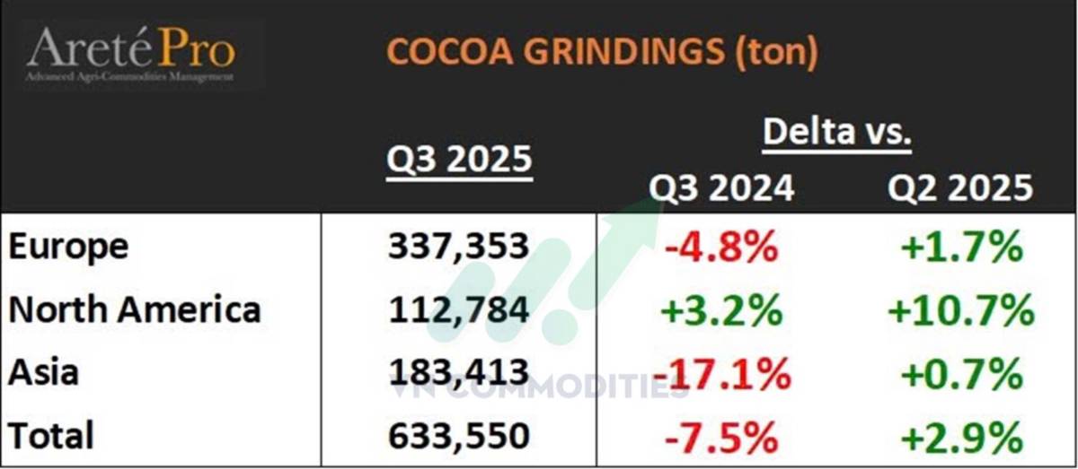 Thị trường hàng hóa 21/10: Dòng tiền trở lại nhóm nông sản – cà phê bứt tốc, ca cao vẫn yếu do thiếu cung