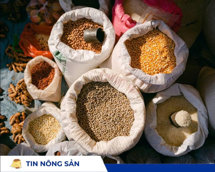 Tổng quan nông sản: Xuất khẩu lúa mì và đậu tương Mỹ khởi sắc, ngô đối mặt thách thức cung–cầu