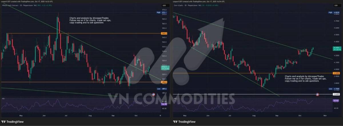 Thị trường hàng hóa 21/10: Dòng tiền trở lại nhóm nông sản – cà phê bứt tốc, ca cao vẫn yếu do thiếu cung