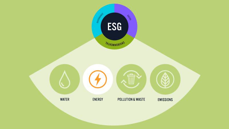 ESG Data as a Service (DaaS): Giải pháp cho SME khan hiếm nguồn lực. 1. Khoảng trống dữ liệu ESG của  ...
