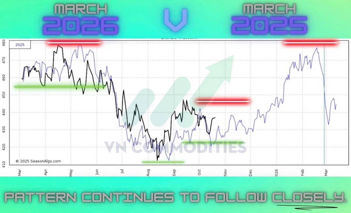 Thị trường hàng hóa 21/10: Dòng tiền trở lại nhóm nông sản – cà phê bứt tốc, ca cao vẫn yếu do thiếu cung