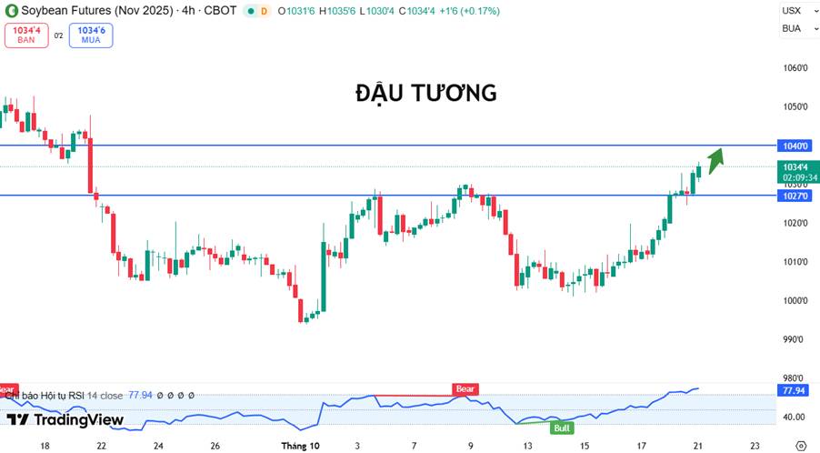 Thị Trường Đậu Tương: Kỳ Vọng Mới Từ Đàm Phán Mỹ–Trung & Rủi Ro Thời Tiết Nam Mỹ