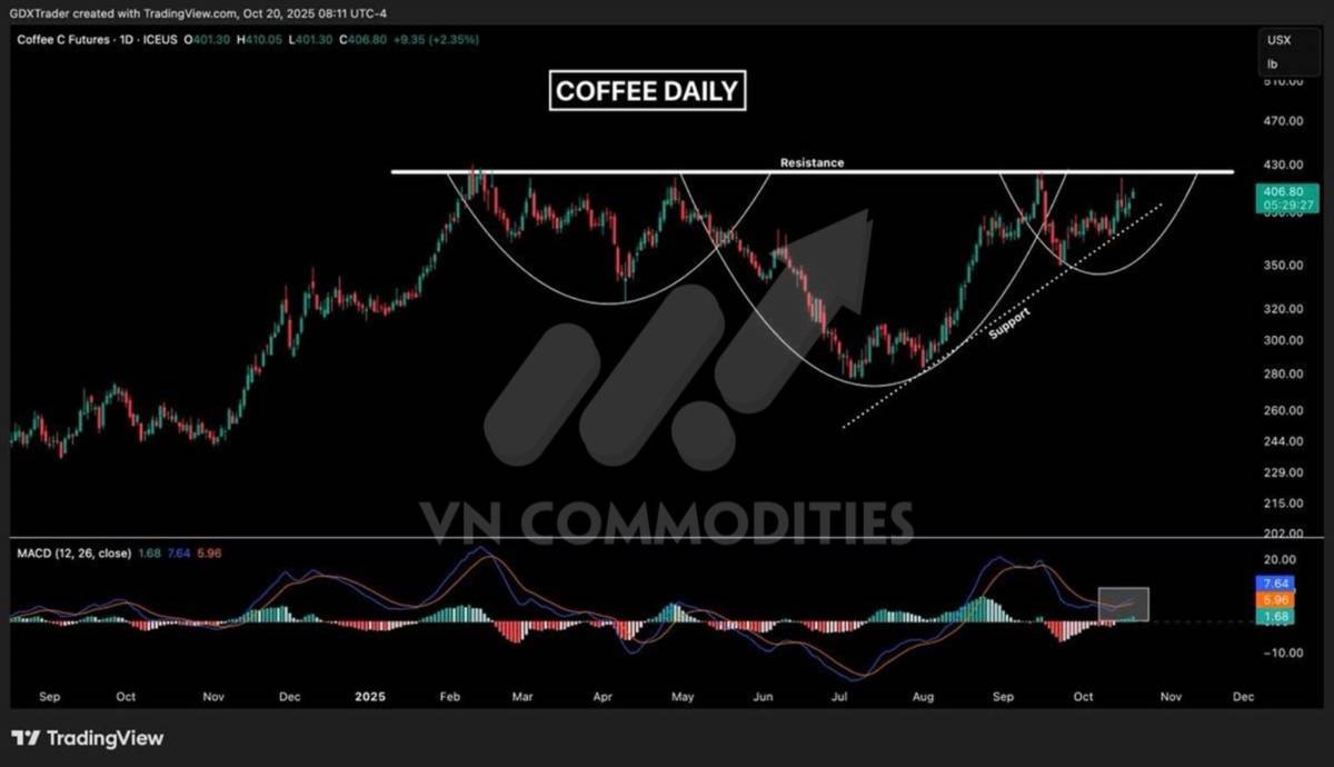 Thị trường hàng hóa 21/10: Dòng tiền trở lại nhóm nông sản – cà phê bứt tốc, ca cao vẫn yếu do thiếu cung