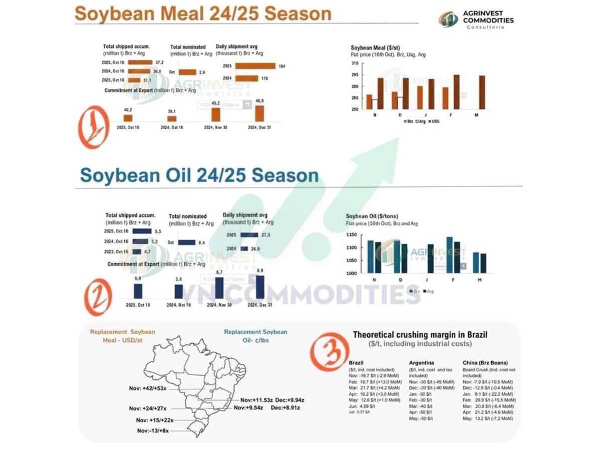 Thị trường hàng hóa 21/10: Dòng tiền trở lại nhóm nông sản – cà phê bứt tốc, ca cao vẫn yếu do thiếu cung