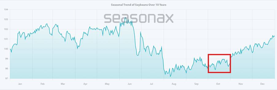 Thị Trường Đậu Tương: Kỳ Vọng Mới Từ Đàm Phán Mỹ–Trung & Rủi Ro Thời Tiết Nam Mỹ