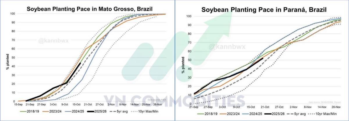 Đậu tương khởi đầu chu kỳ tăng – Cà phê, ca cao chờ tín hiệu bứt phá