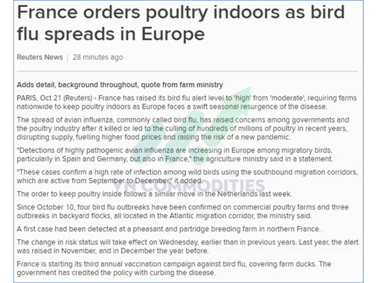 Đậu tương khởi đầu chu kỳ tăng – Cà phê, ca cao chờ tín hiệu bứt phá