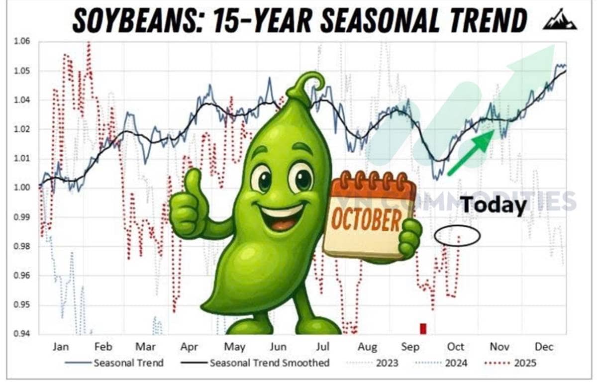 Đậu tương khởi đầu chu kỳ tăng – Cà phê, ca cao chờ tín hiệu bứt phá