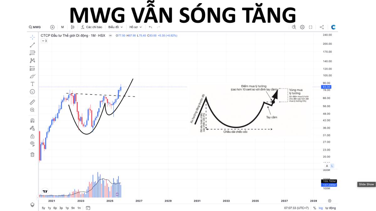 Cách cơ cấu danh mục giai đoạn này
