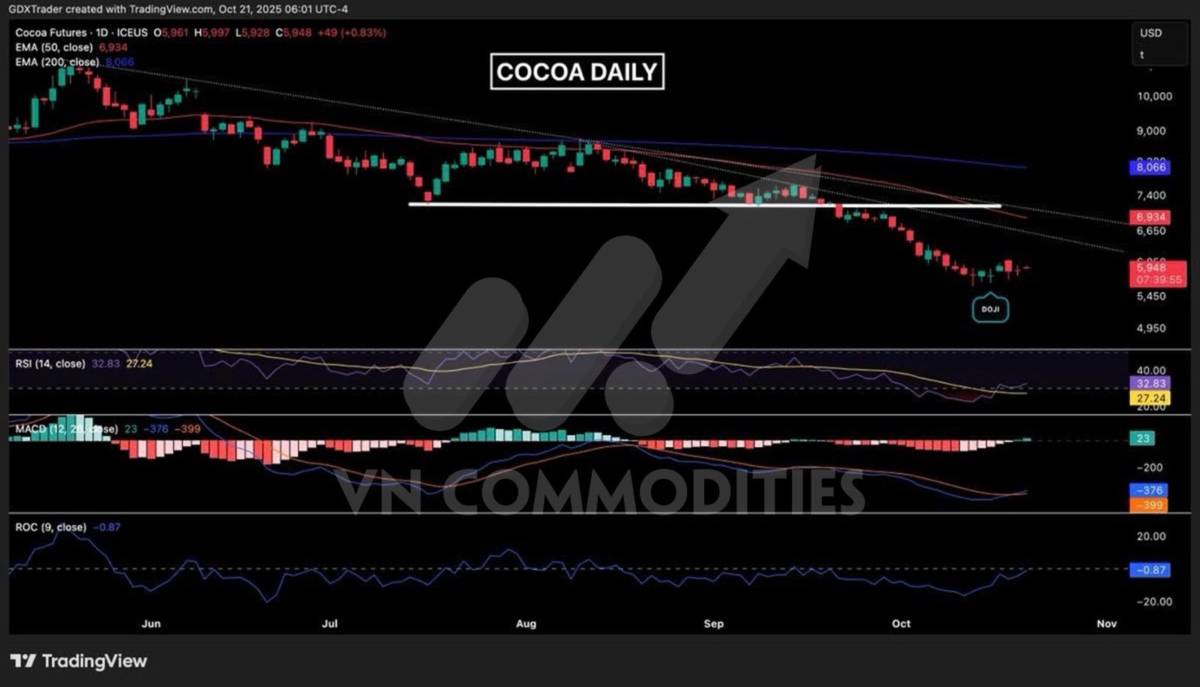 Đậu tương khởi đầu chu kỳ tăng – Cà phê, ca cao chờ tín hiệu bứt phá