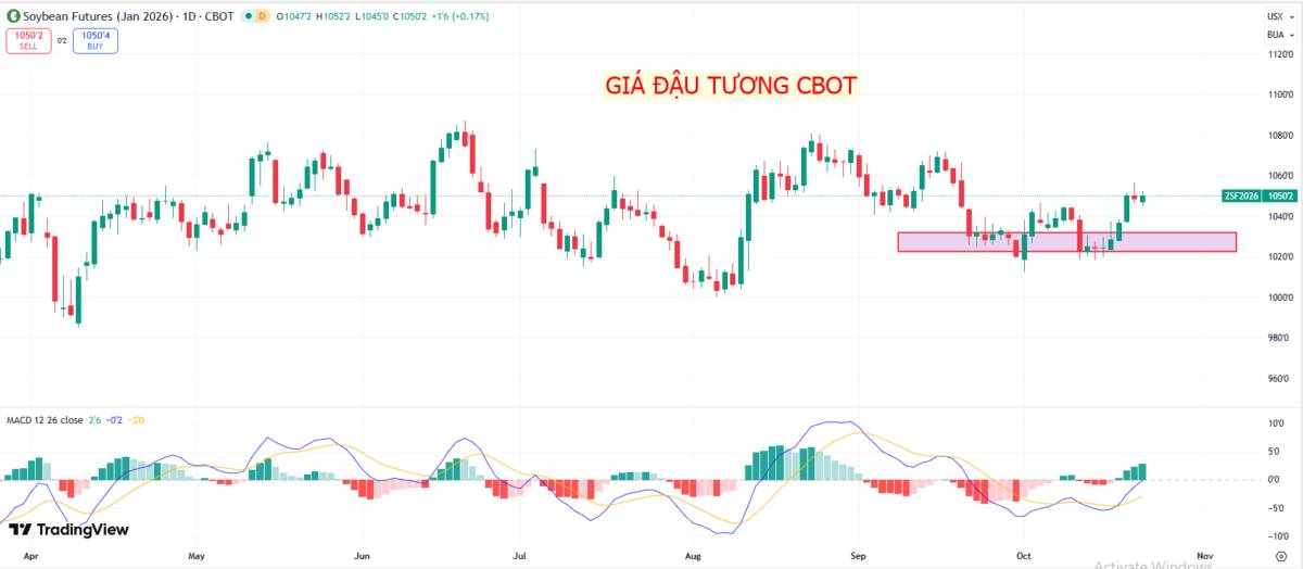 Mỹ và Ấn Độ tiến gần thỏa thuận thương mại lớn: Tác động mạnh tới thị trường hàng hóa toàn cầu