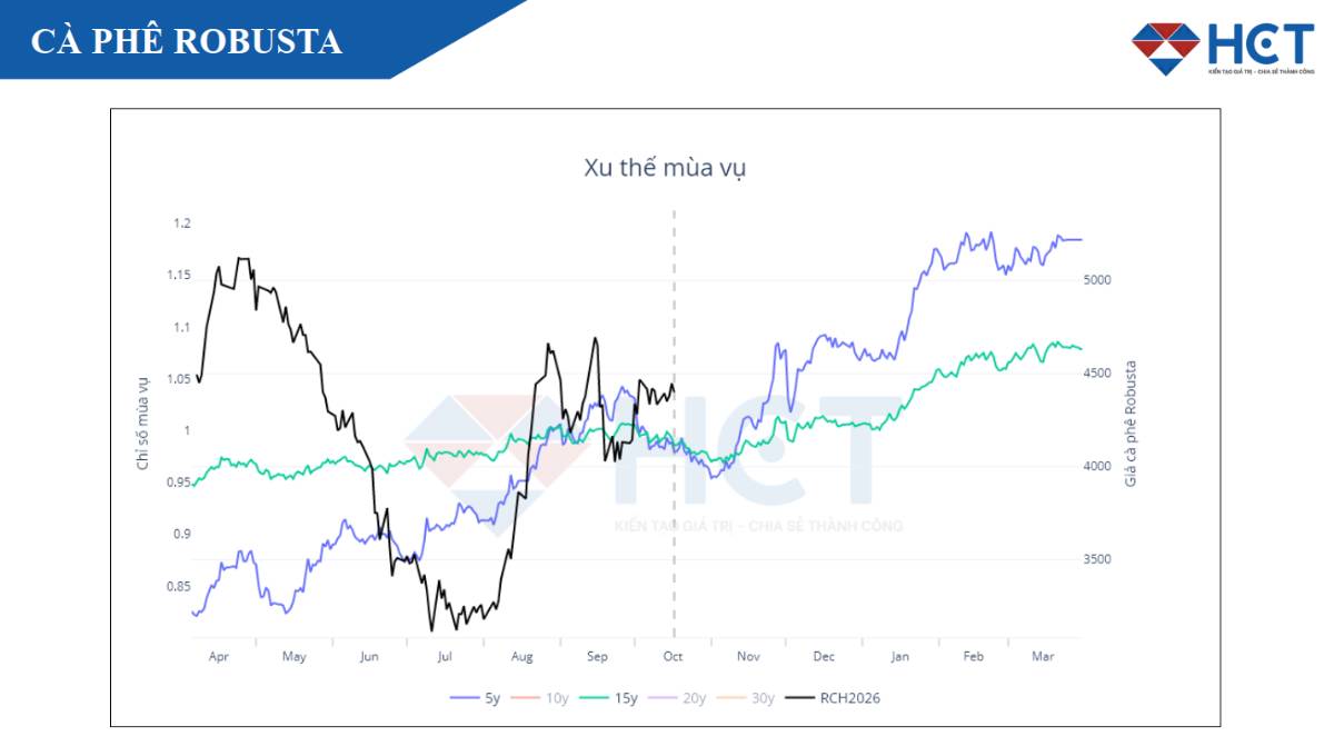 Cà Phê Robusta Áp Sát Vùng 4.800 USD: Nguồn Cung Thắt Chặt, Mùa Vụ Ủng Hộ Đà Tăng