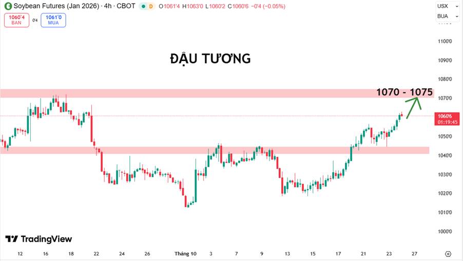 Đậu Tương Tăng Nhiệt Trước Thềm Hội Nghị APEC: Dòng Tiền Đang Trở Lại Nhóm Nông Sản