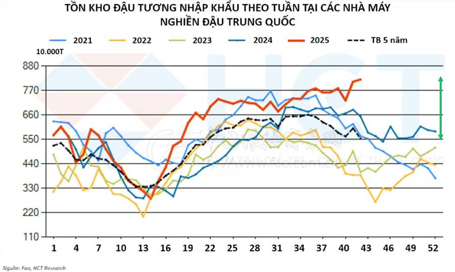 Đậu Tương Tăng Nhiệt Trước Thềm Hội Nghị APEC: Dòng Tiền Đang Trở Lại Nhóm Nông Sản