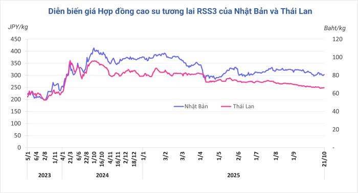 Thị trường cao su: Thị trường Châu Á nhích nhẹ, kì vọng phục hồi quý IV!