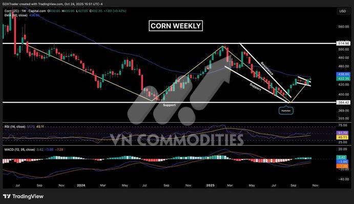 Đậu tương khởi sắc nhờ kỳ vọng thương mại Mỹ – Trung, cà phê giằng co quanh vùng kháng cự