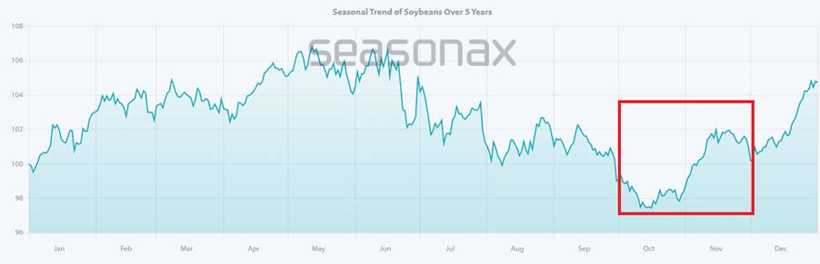 Đậu Tương Bứt Phá Mạnh Sau Tín Hiệu Hạ Nhiệt Thương Mại Mỹ – Trung
