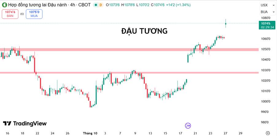 Đậu Tương Bứt Phá Mạnh Sau Tín Hiệu Hạ Nhiệt Thương Mại Mỹ – Trung