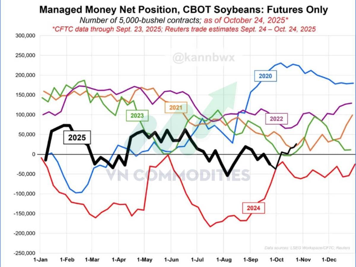 Triển vọng đậu tương trước thềm cuộc gặp Trump - Tập