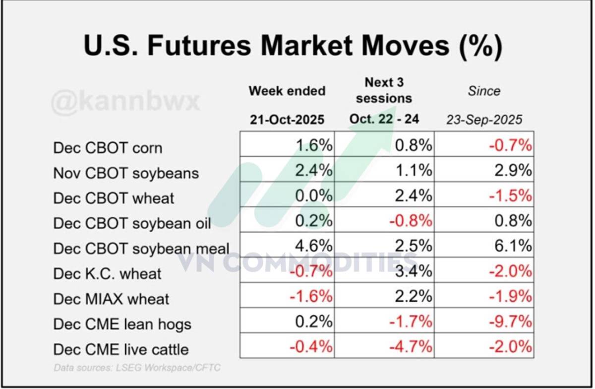 Triển vọng đậu tương trước thềm cuộc gặp Trump - Tập