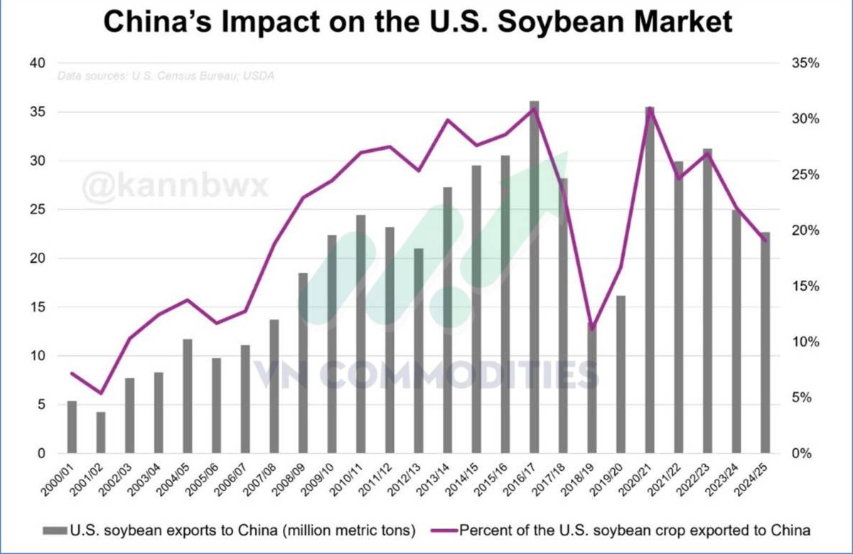 Triển vọng đậu tương trước thềm cuộc gặp Trump - Tập