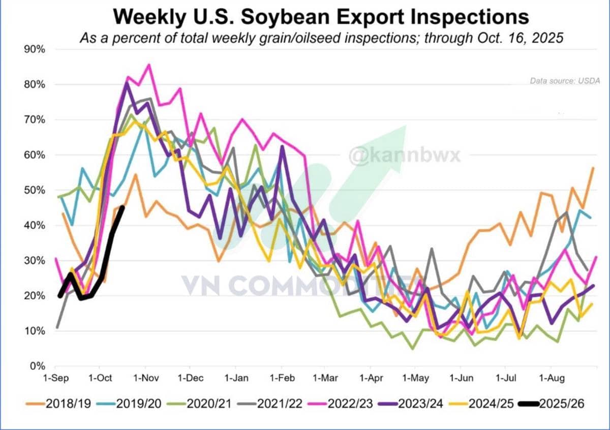 Triển vọng đậu tương trước thềm cuộc gặp Trump - Tập
