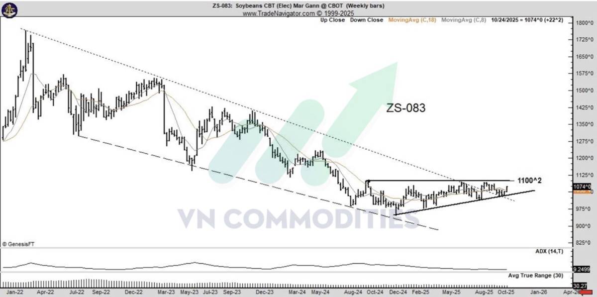 Triển vọng đậu tương trước thềm cuộc gặp Trump - Tập