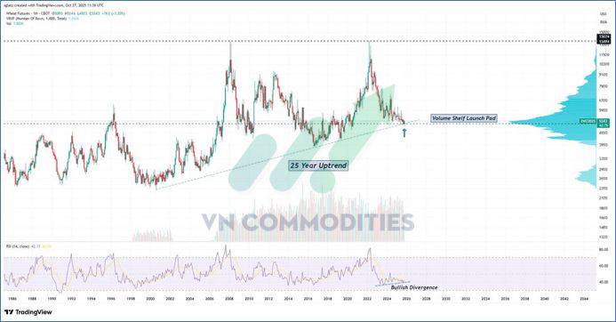 Nông sản Mỹ dẫn sóng giữa mùa thu hoạch, cà phê và ca cao bước vào giai đoạn tái cân bằng cung – cầu