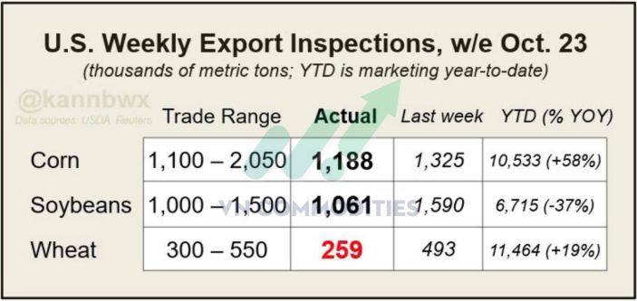 Nông sản Mỹ dẫn sóng giữa mùa thu hoạch, cà phê và ca cao bước vào giai đoạn tái cân bằng cung – cầu