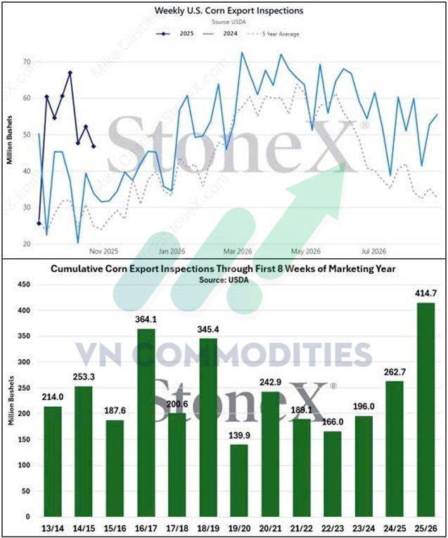 Nông sản Mỹ dẫn sóng giữa mùa thu hoạch, cà phê và ca cao bước vào giai đoạn tái cân bằng cung – cầu