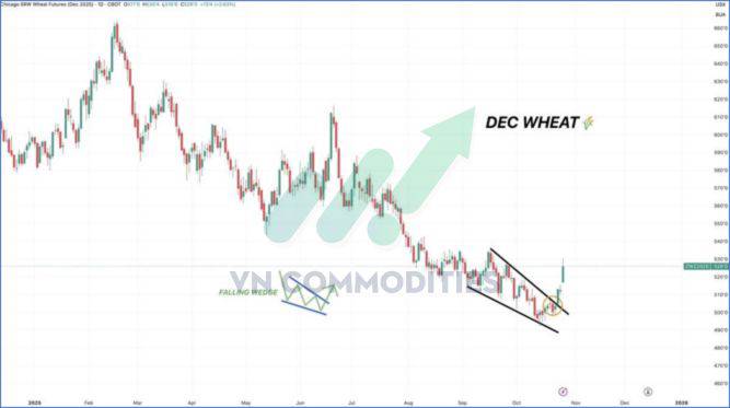 Nông sản Mỹ dẫn sóng giữa mùa thu hoạch, cà phê và ca cao bước vào giai đoạn tái cân bằng cung – cầu