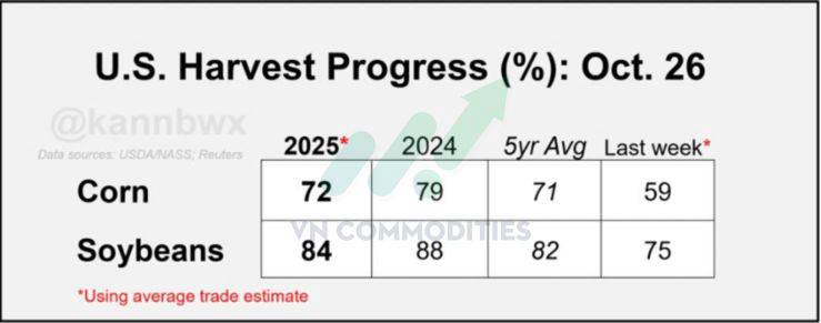 Nông sản Mỹ dẫn sóng giữa mùa thu hoạch, cà phê và ca cao bước vào giai đoạn tái cân bằng cung – cầu