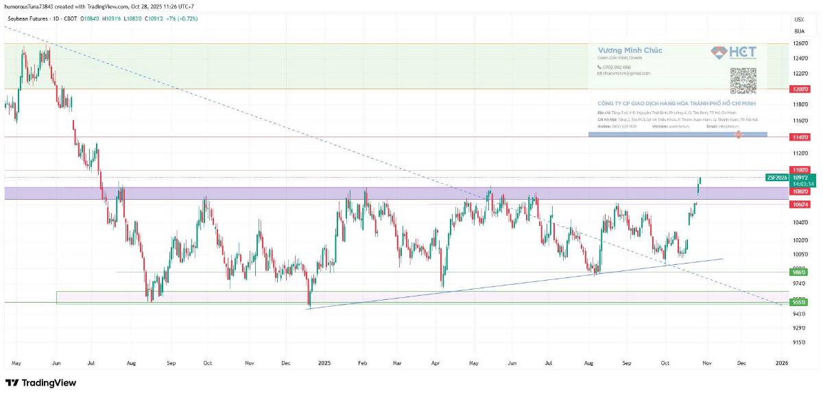 28/10/2025 đậu tương: Cơ hội tăng giá trung hạn đang mở ra trước mắt