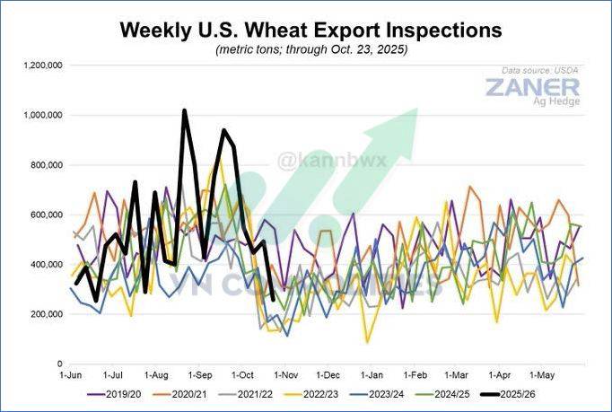 Nông sản Mỹ dẫn sóng giữa mùa thu hoạch, cà phê và ca cao bước vào giai đoạn tái cân bằng cung – cầu