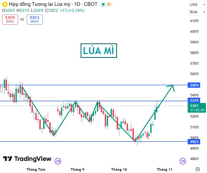 Lúa Mì Hồi Phục Nhờ Kỳ Vọng Thỏa Thuận Mỹ - Trung
