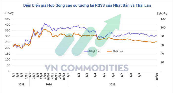 Giá cao su hôm nay biến động giảm trong và ngoài nước