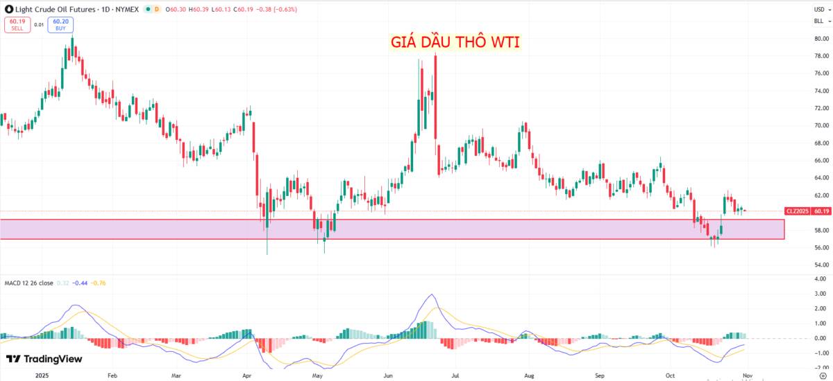 Thị trường dầu thô: Giá dầu biến động trước khả năng OPEC+ gia hạn cắt giảm và áp lực từ nguồn cung Mỹ