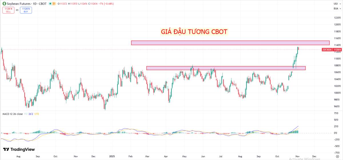 Mỹ - Trung tiến gần "Thỏa thuận giai đoạn 2" Tác động mới đến thị trường nông sản toàn cầu!