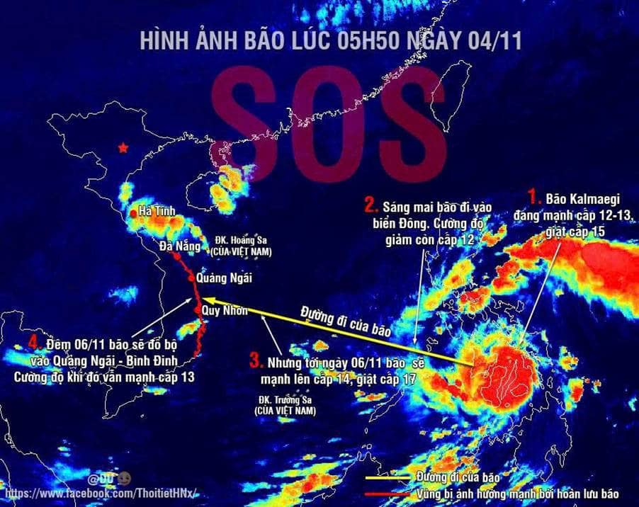 Cà Phê Robusta: Áp Lực Thời Tiết và Mùa Thu Hoạch Đẩy Giá Tăng Trở Lại